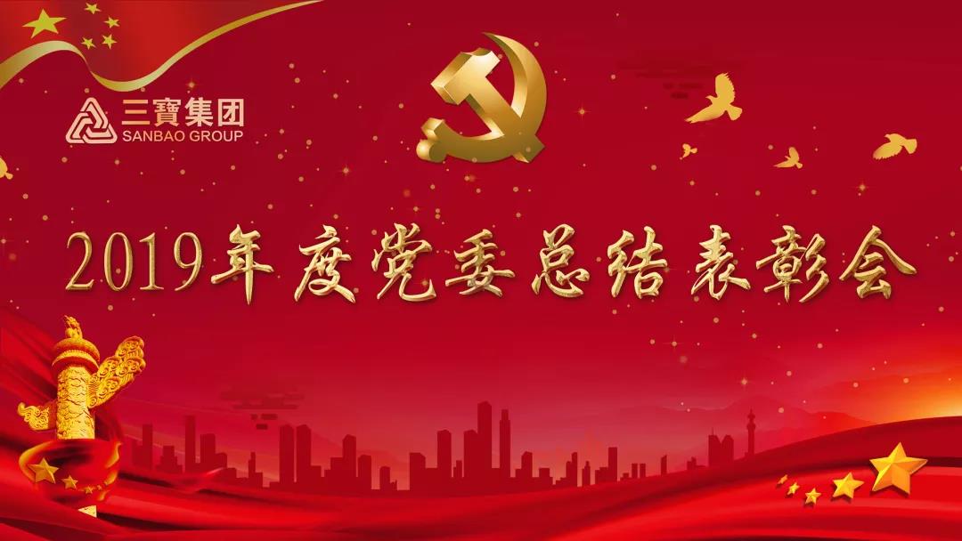 萬眾一心加油干，不負韶華勇向前｜三寶集團黨委召開2019年度總結(jié)表彰會